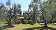 Appartamenti Agriturismo nel Gargano