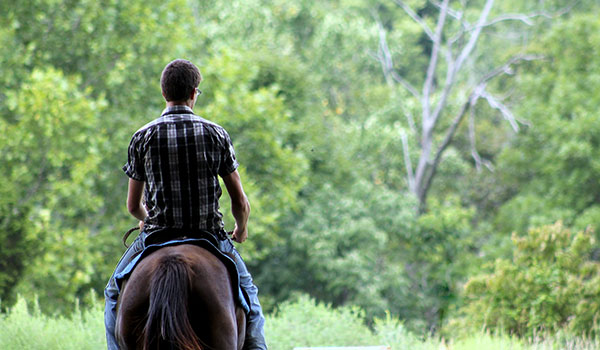 Escursioni a cavallo