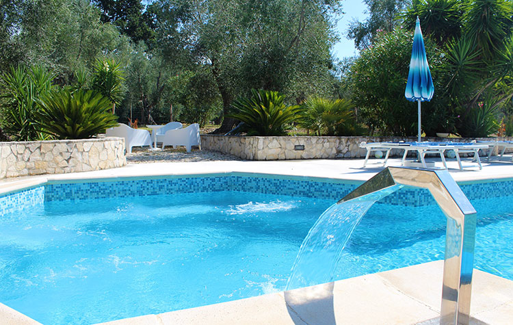 Der Swimmingpool, umgeben von Olivenbäumen