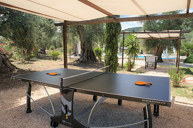 Tavolo da ping-pong